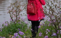 特朗普开始自我隔离